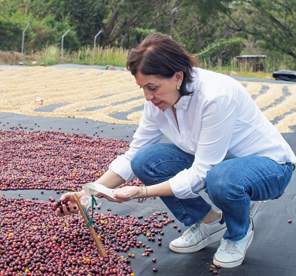 Cafetos de Segovia - Sustainability