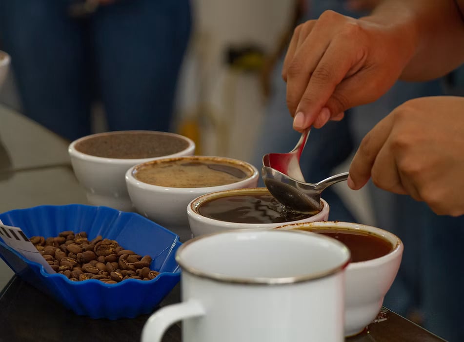 Cafetos de Segovia - Customers